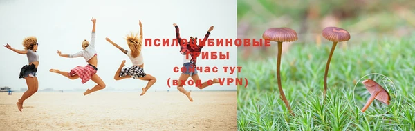 скорость Аркадак