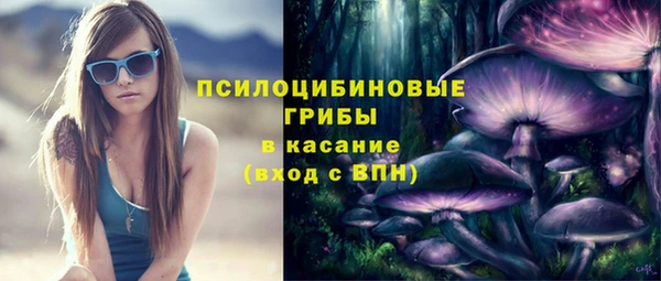 гидра Армянск